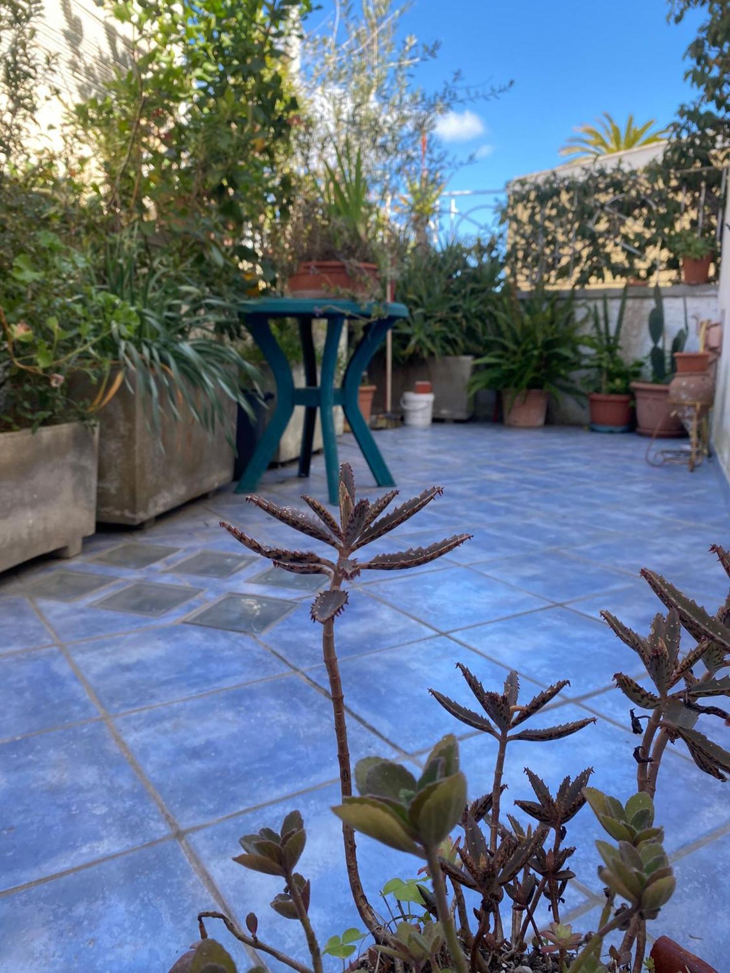 Casa Vacanza Maronti Barano dʼIschia Extérieur photo